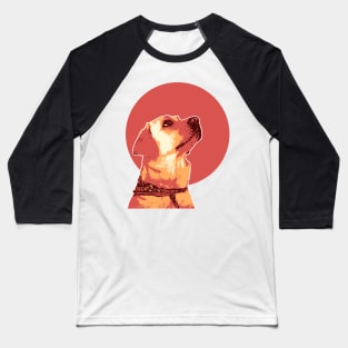 Retro Labrador Illustration Baseball T-Shirt